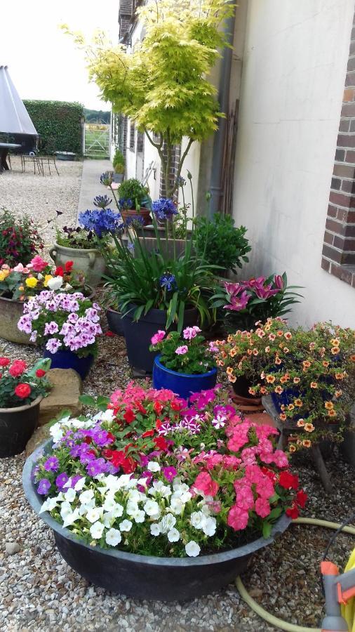 La Puisaye La Pastorale Bed & Breakfast エクステリア 写真
